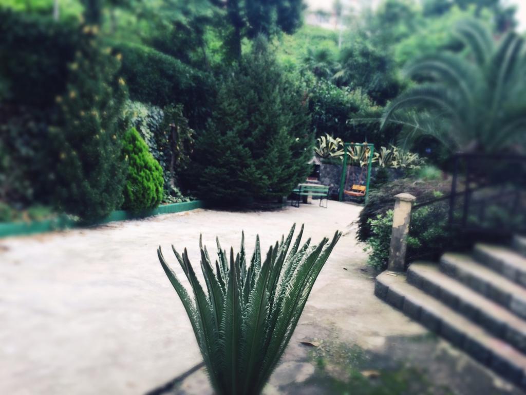 Holiday House Green Cape Batumi Hotel Mtsvane Konts'khi Luaran gambar