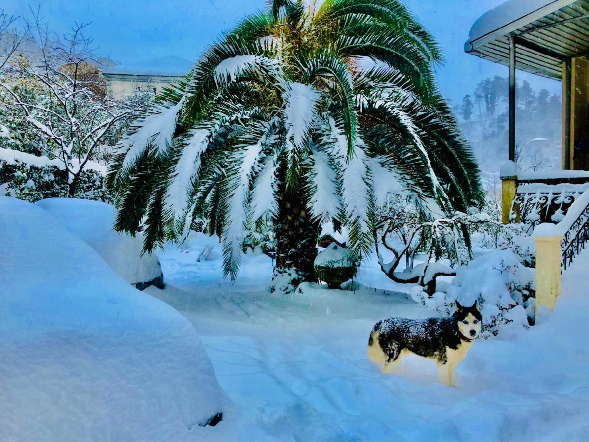 Holiday House Green Cape Batumi Hotel Mtsvane Konts'khi Luaran gambar